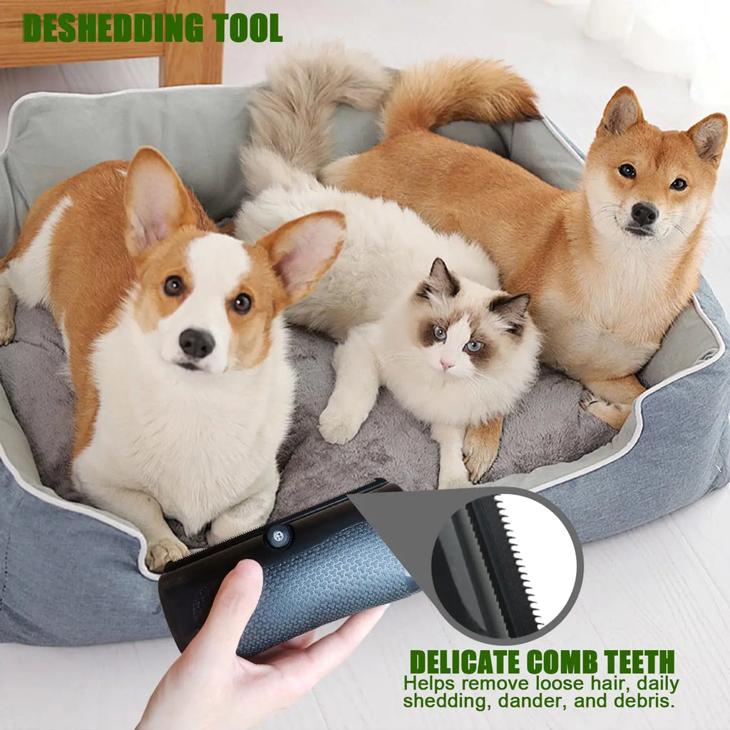 Brosse professionnelle améliorée pour animaux de compagnie, éliminateur de poils de chien, coupe-nœuds de fourrure, peigne pour chiots et chats, fournitures de toilettage pour chiens, anti-chute de poils