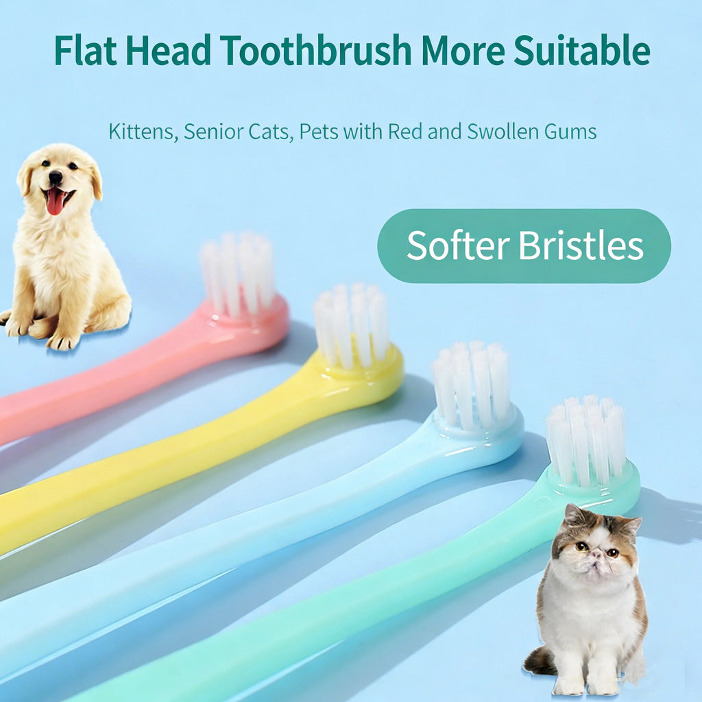 Brosse à dents poils doux pour animaux