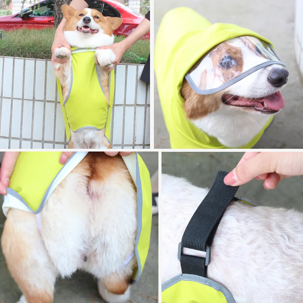 Imperméable chien toutes tailles, léger