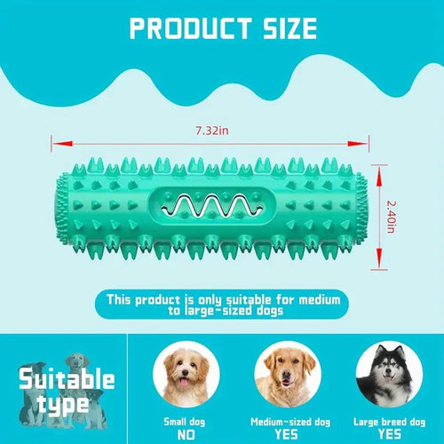 Bâton à mâcher dentaire approuvé par le vétérinaire – Jouet de brosse à dents rafraîchissante 3 en 1 pour petits/moyen chiens, nettoyage des dents d'été et Massage des gencives