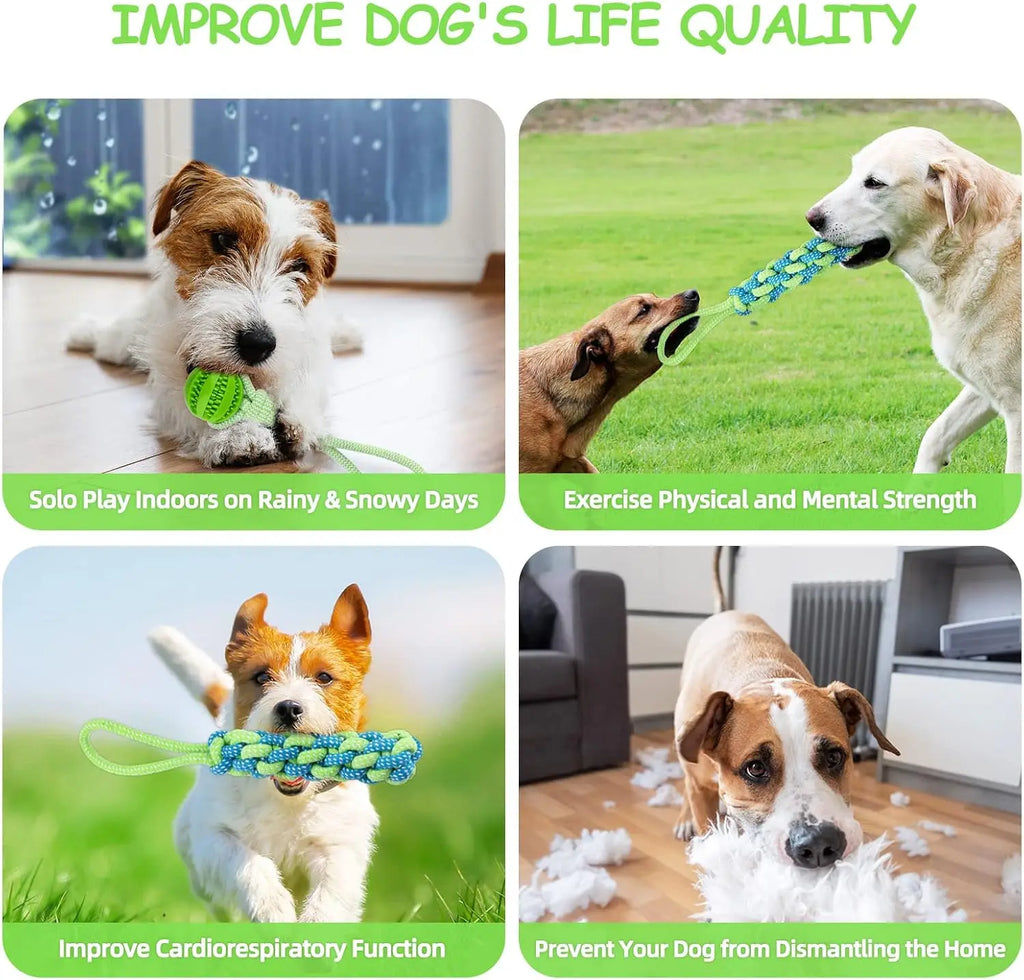 Jouets de corde de chien de poteau de ressort, jouet interactif de remorqueur de corde de chien, jouet de chiens suspendus d'elas d'intérieur/extérieur