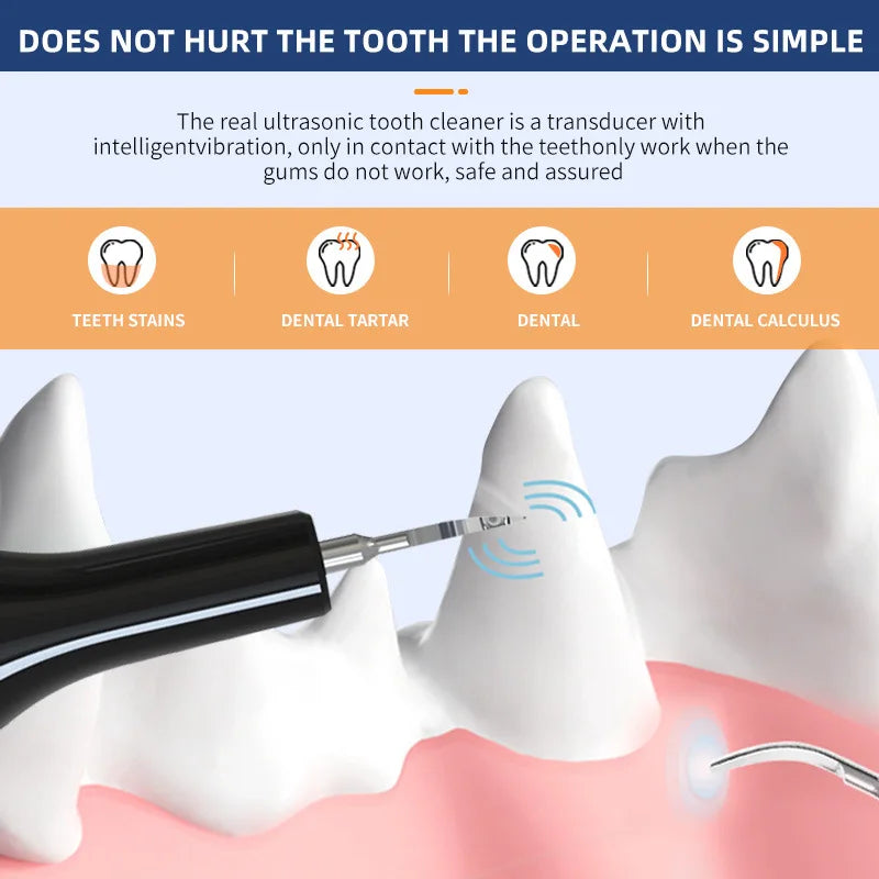 Brosse à dents électrique Portable ultrasonique pour chien, élimination professionnelle du calcul de la Plaque, blanchiment des dents pour les soins dentaires des animaux de compagnie