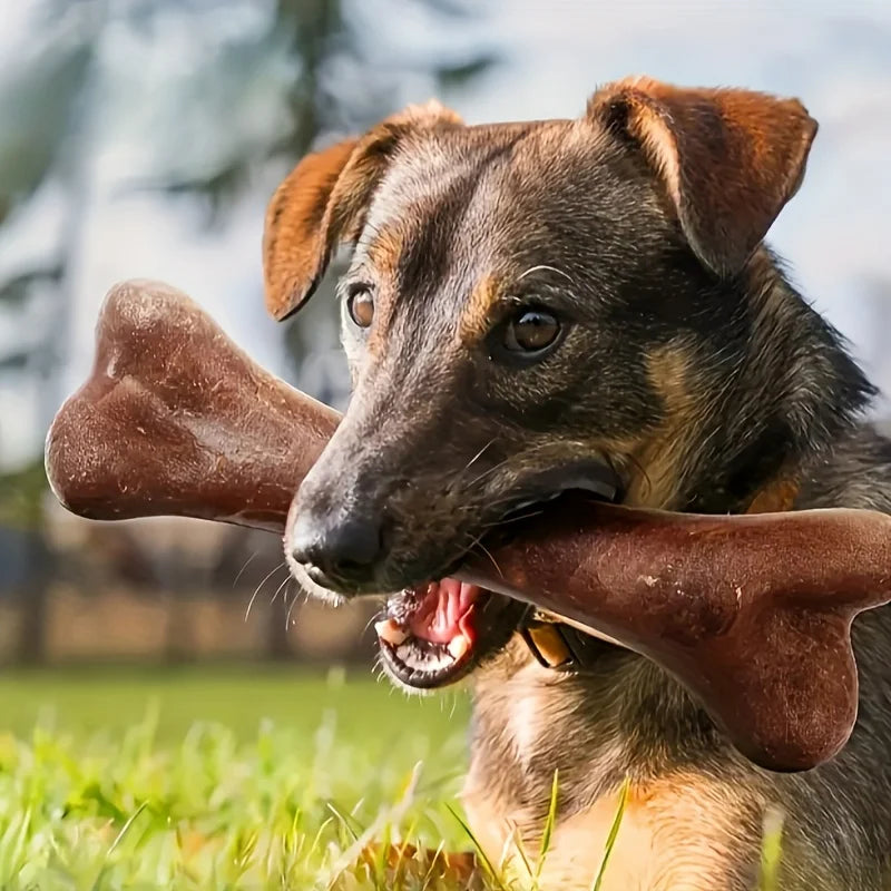 Jouet à mâcher durable aromatisé au bœuf pour chien, jouet interactif en forme d'os pour chien, jouet d'entraînement propre des dents, fournitures pour animaux de compagnie