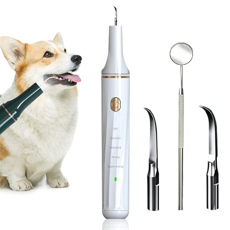 Brosse à dents électrique Portable ultrasonique pour chien, élimination professionnelle du calcul de la Plaque, blanchiment des dents pour les soins dentaires des animaux de compagnie