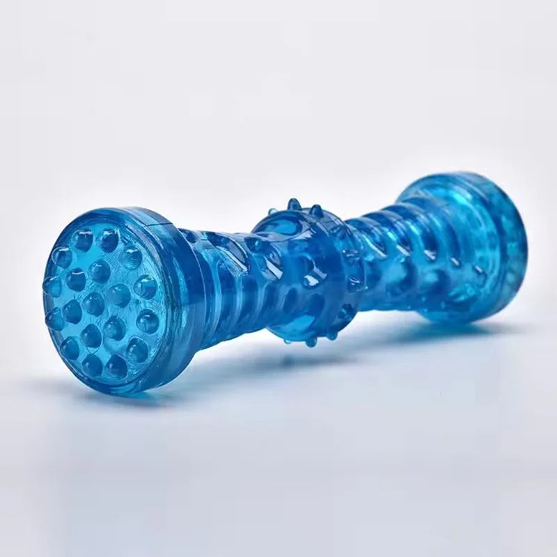 Jouet à mâcher en plastique en forme d'os pour chien, TPR grinçant, avec son, nettoyage des dents, bâton molaire Anti-morsure, fournitures pour animaux de compagnie