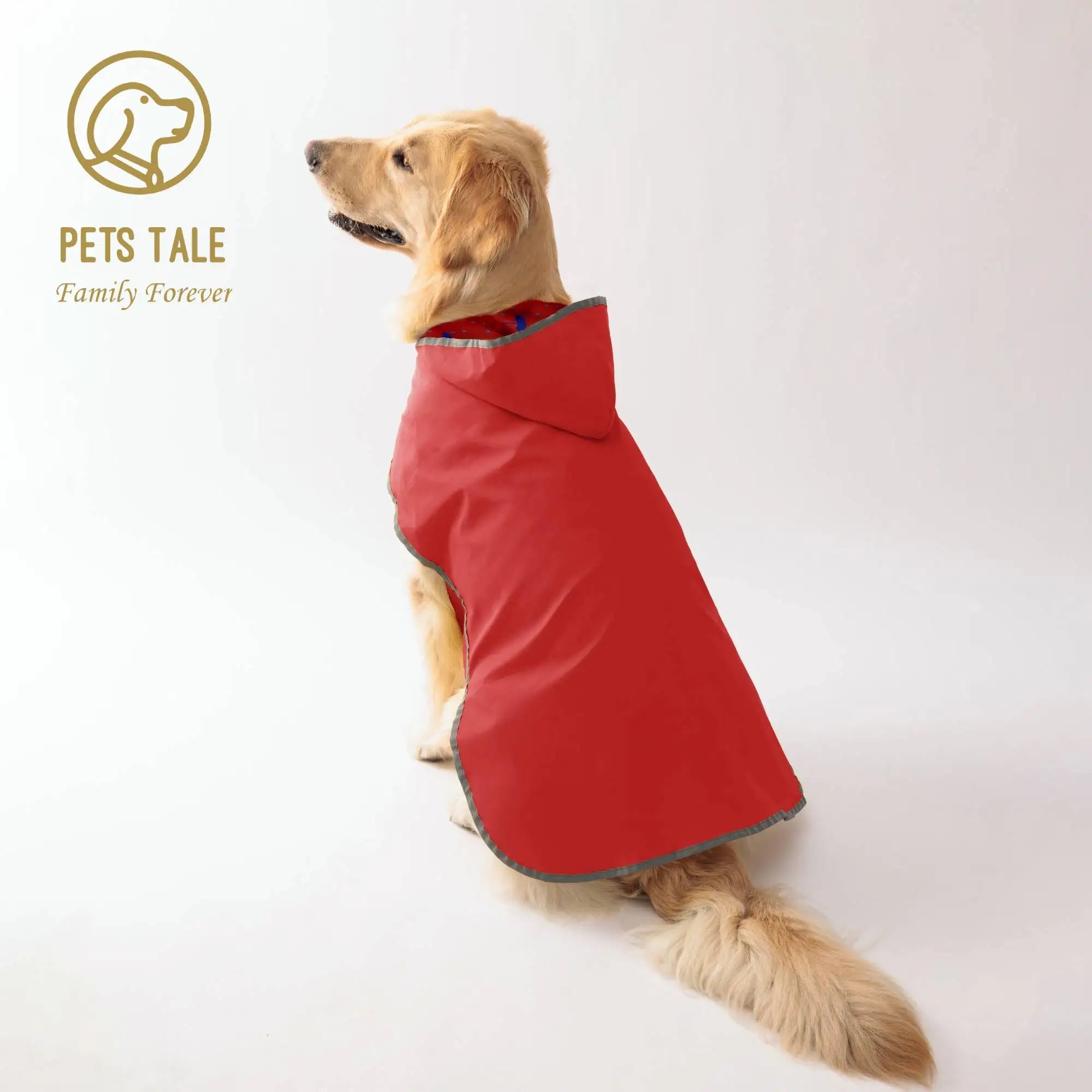 Gardez votre chiot sec et élégant : imperméable jaune double couche avec vêtements bidirectionnels!