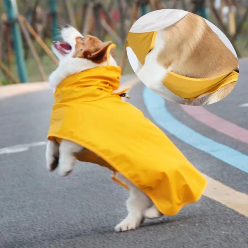 Teddy Cgi doré chien vêtements oeuf Olk homme PU veste imperméable chien imperméable fournitures pour animaux de compagnie imperméable en plein air
