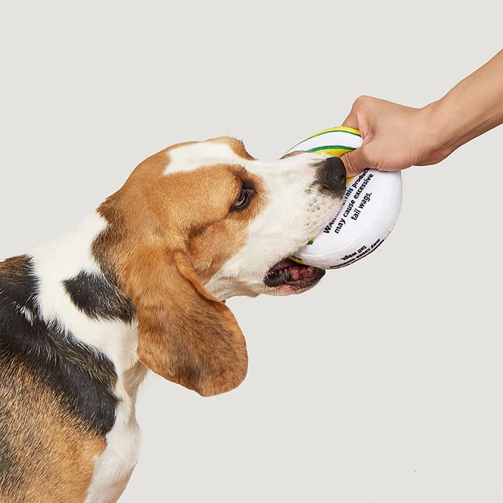 Jouet parodie pour chien Zen Pupper Deckies - Jouet drôle en peluche grinçant et froissé pour chien - Drool Mint