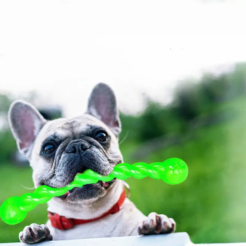 Bâton molaire d'entraînement pour chien