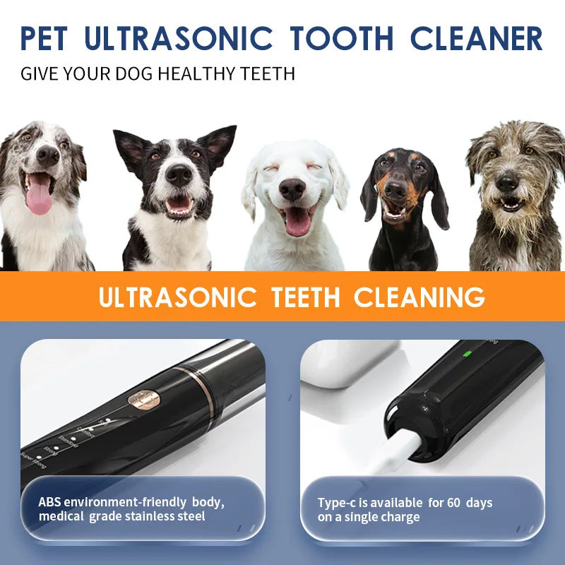 Brosse à dents électrique Portable ultrasonique pour chien, élimination professionnelle du calcul de la Plaque, blanchiment des dents pour les soins dentaires des animaux de compagnie