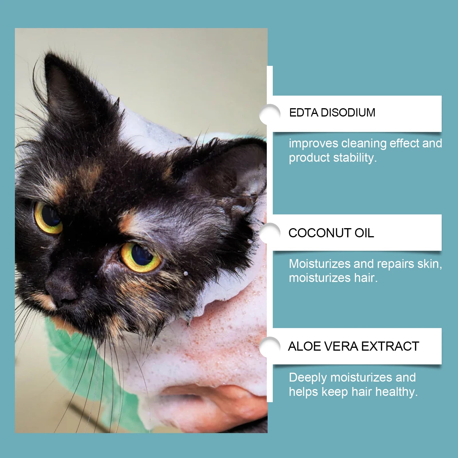 Shampoing sec sans rinçage sans eau, pour chat, chien, toilettage des animaux, nettoyage des animaux domestiques, Spray de bain moussant à sec, fournitures pour animaux de compagnie, 150ml