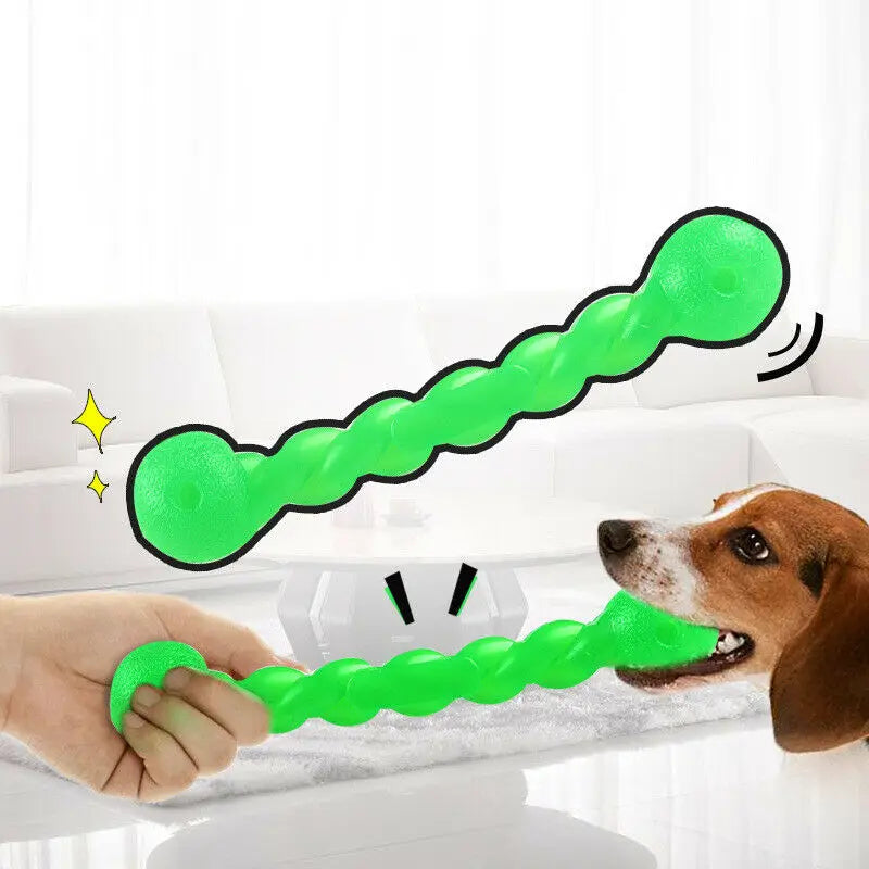 Bâton molaire d'entraînement pour chien