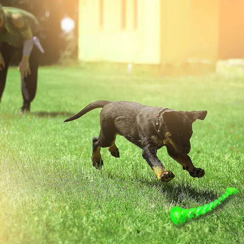 Bâton molaire d'entraînement pour chien