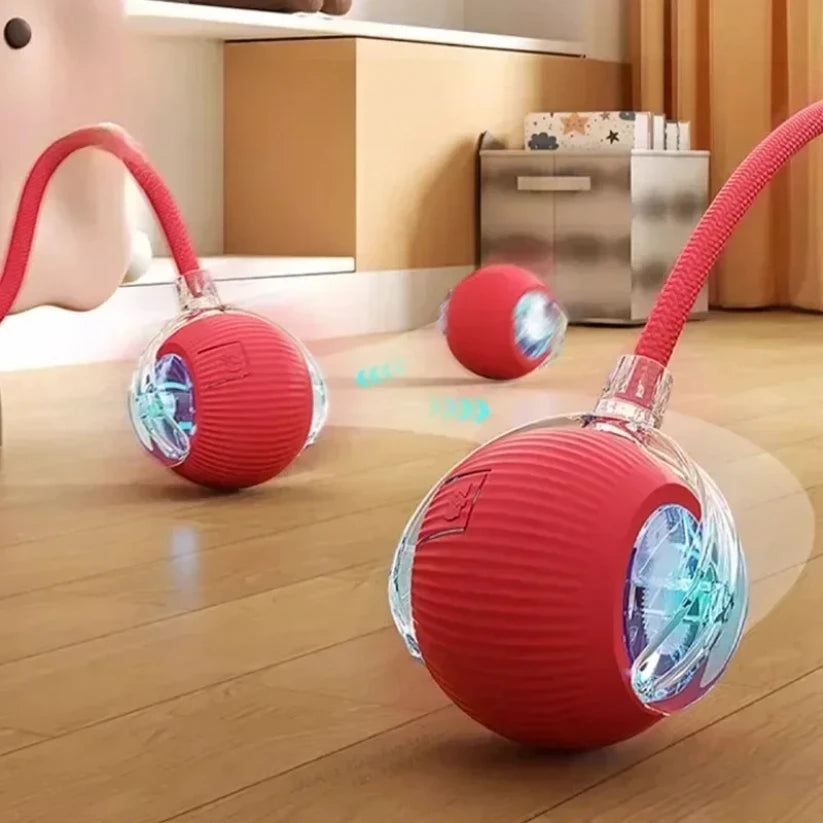 Balle roulante automatique souris pour chat