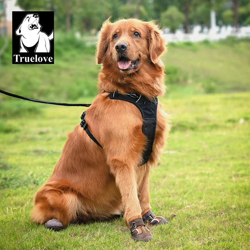 Chaussures Truelove protection pattes chien