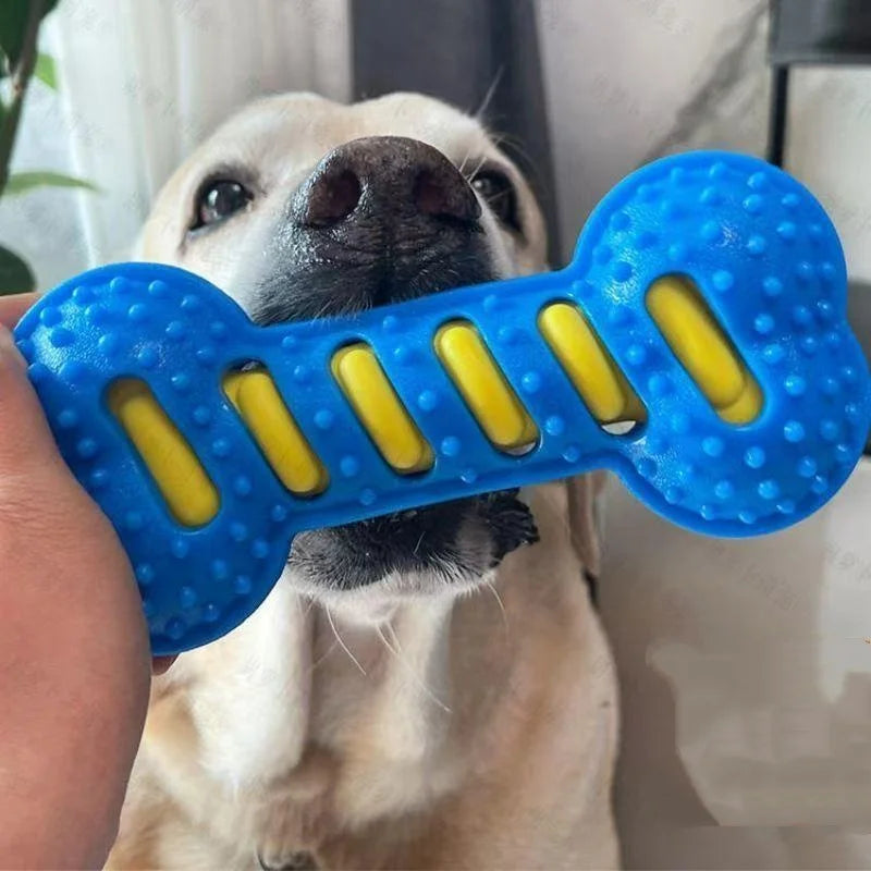 Jouet à mâcher pour chien, os grinçants, résistant aux morsures, jouet d'entraînement pour chiot, nettoyage des dents, Massage interactif, brosse à dents, jouet pour chien