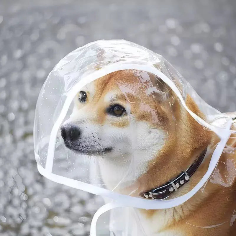 Imperméable transparent chien XS à 8XL