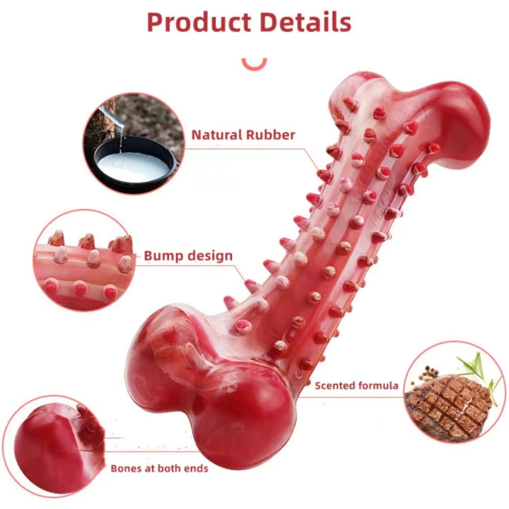 Jouets pour chiens, affûtage des dents, nettoyage des os de chien, entraînement en caoutchouc naturel, jouets à mâcher rigides et durables pour chiens de taille moyenne et grande, fournitures pour animaux de compagnie