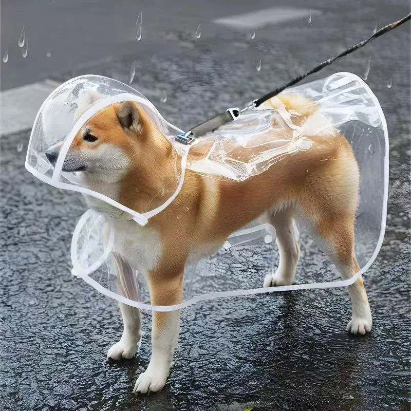 Imperméable transparent chien XS à 8XL