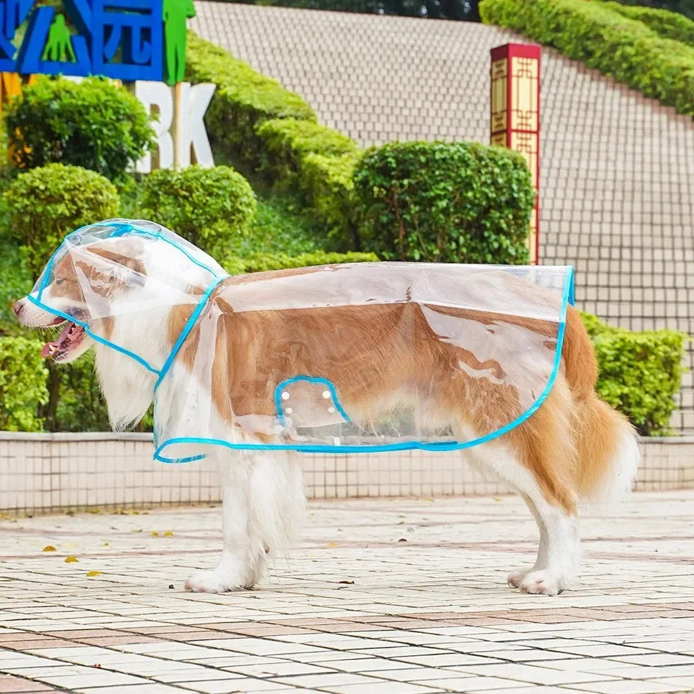 Imperméable transparent chien XS à 8XL