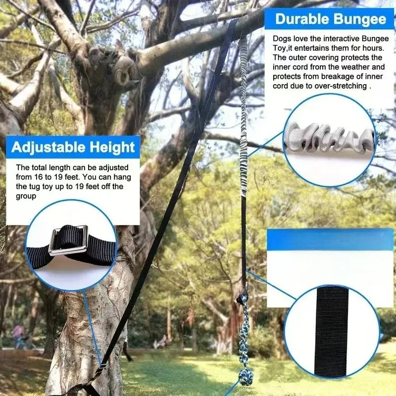 Jouet de remorqueur élastique d'extérieur, jouet pour chien suspendu à l'arbre pour chiens de petite à grande taille, cordon de jeu d'exercice interactif et attache avec corde à mâcher