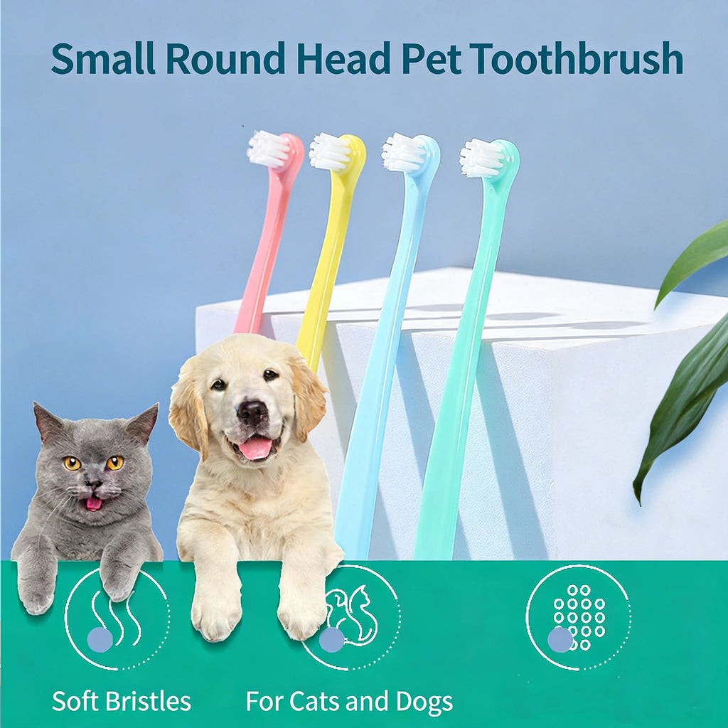 Brosse à dents poils doux pour animaux