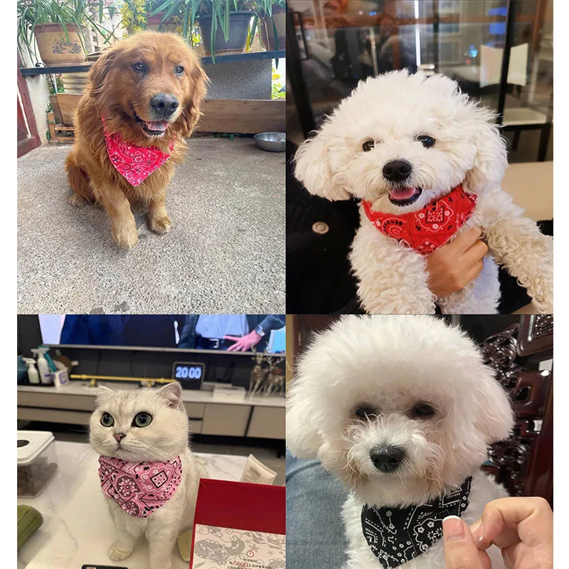 Bandage triangulaire réglable pour chien et chat, écharpe lavable, col Bandana, bavoirs, décor de cou de chat, déguisement de fête d'anniversaire