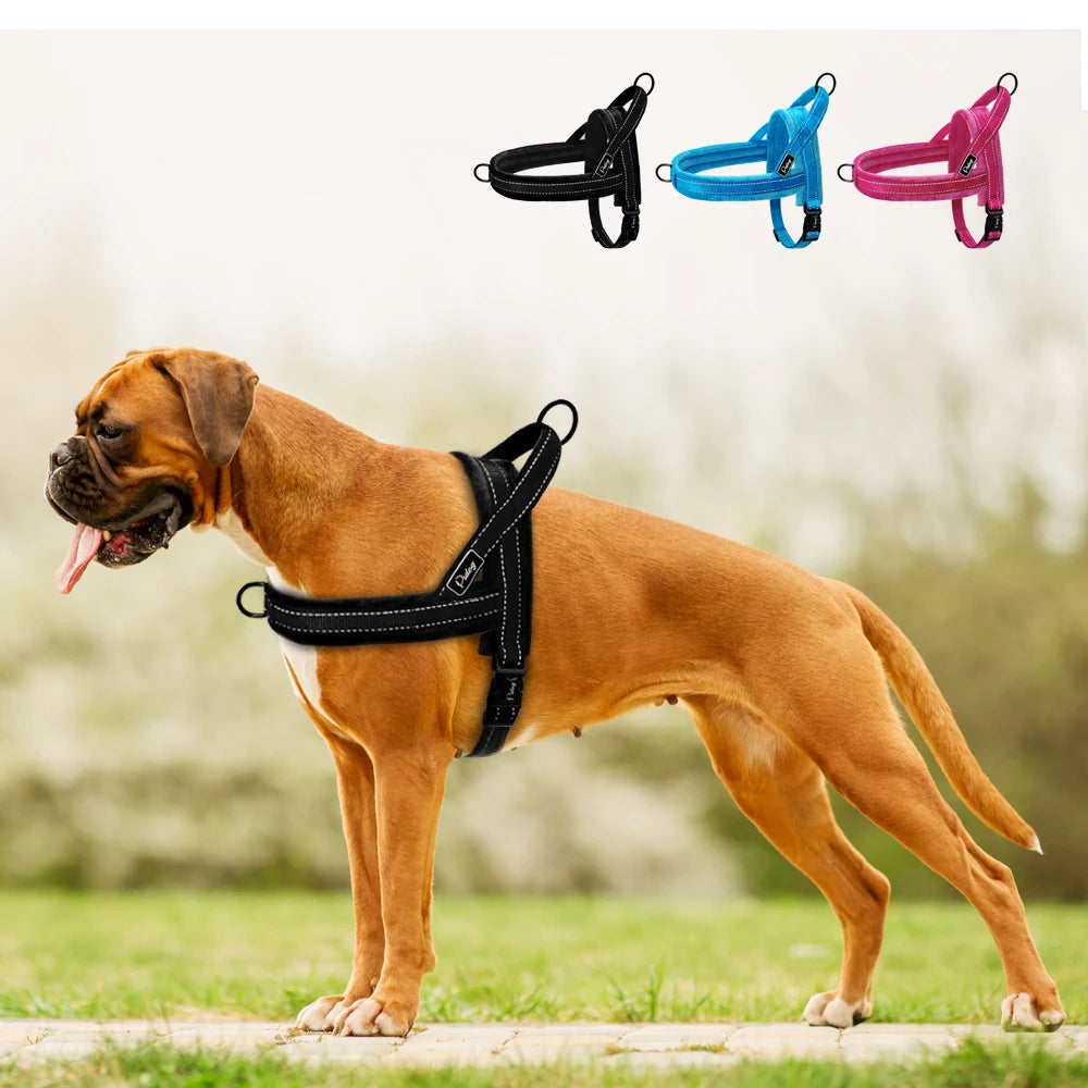 Sangle rembourrée nylon pour chien races puissantes