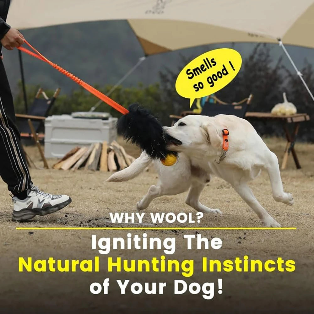 Jouet interactif en corde pour chien, chasseur élastique avec boule en caoutchouc, jouet de remorqueur pour animaux de compagnie, peau de mouton pour chiens de taille moyenne et grande, exercice en plein air