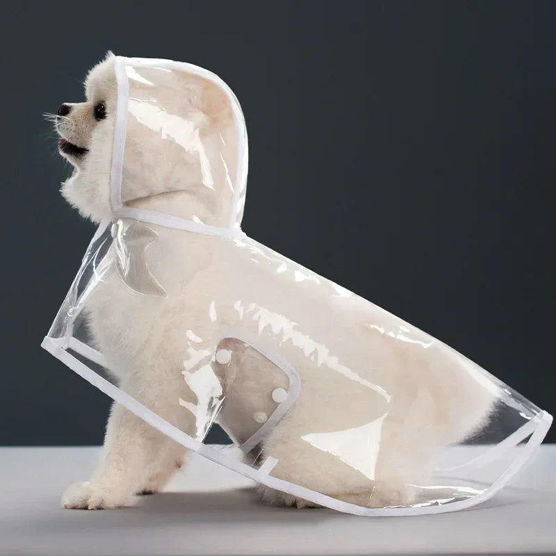 Imperméable transparent chien XS à 8XL