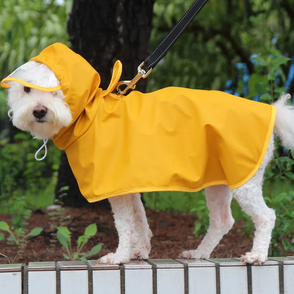 Teddy Cgi doré chien vêtements oeuf Olk homme PU veste imperméable chien imperméable fournitures pour animaux de compagnie imperméable en plein air