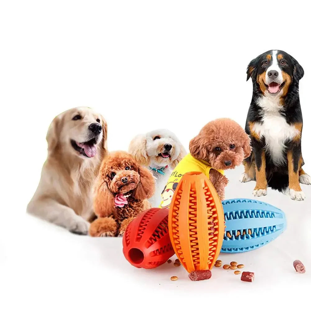 Balle à mâcher interactive en caoutchouc pour petits chiens, jouet élastique pour chiot, livres de dents, boule de nourriture, accessoires pour animaux de compagnie, 1 pièce