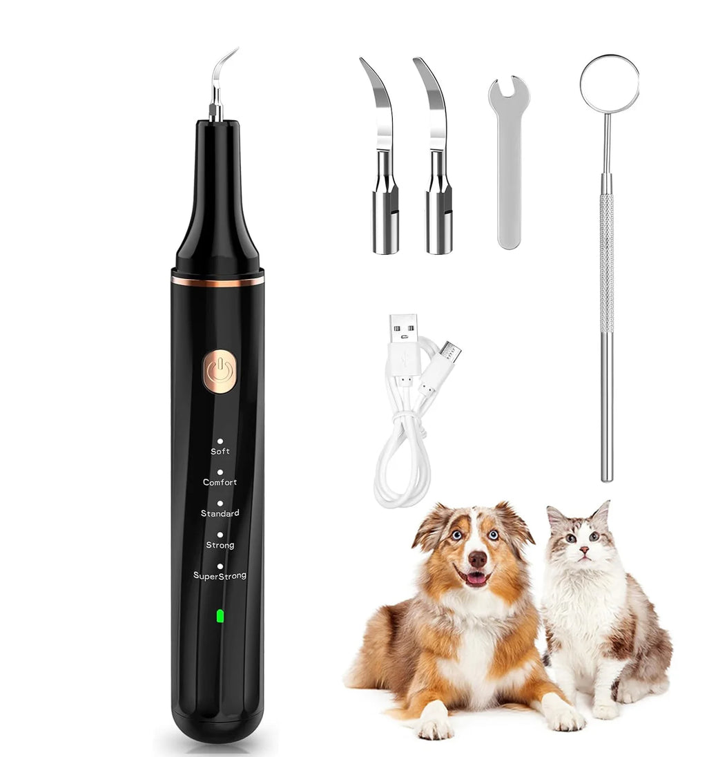 Brosse à dents électrique Portable ultrasonique pour chien, élimination professionnelle du calcul de la Plaque, blanchiment des dents pour les soins dentaires des animaux de compagnie