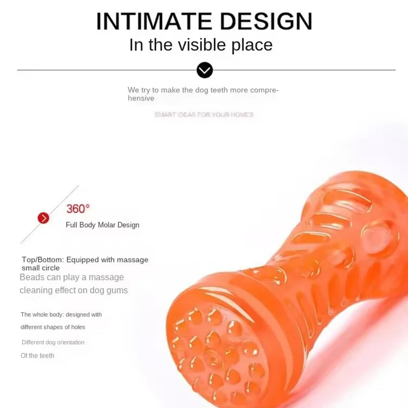 Jouet à mâcher en plastique en forme d'os pour chien, TPR grinçant, avec son, nettoyage des dents, bâton molaire Anti-morsure, fournitures pour animaux de compagnie
