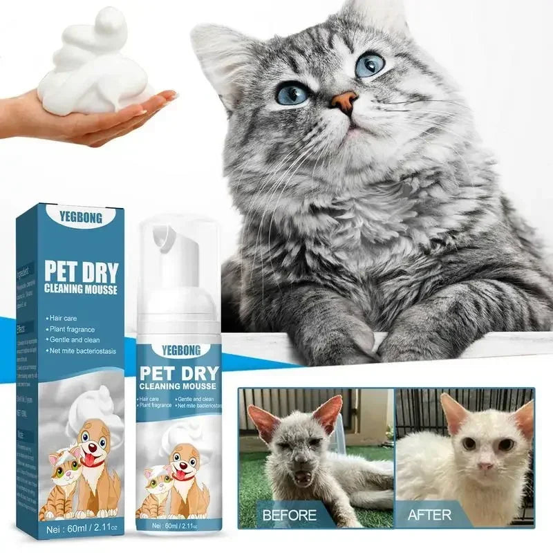 Shampoing sans eau pour chien et chat, sans rinçage, Mousse de nettoyage pour chiens et chats, fournitures de toilettage pour animaux de compagnie, nettoyage sûr sans bain, éliminateur d'odeurs