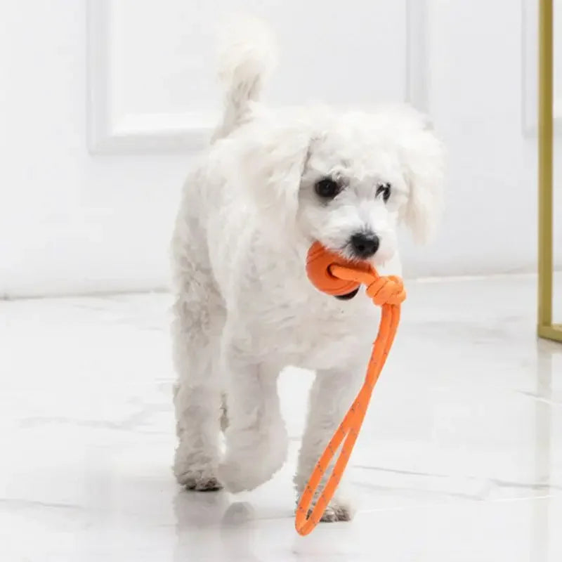 Balle d'Entraînement pour Chien en Coton, Jouet Interactif, Non CU, pour Grands et Petits Chiens, Attrape et Lancer