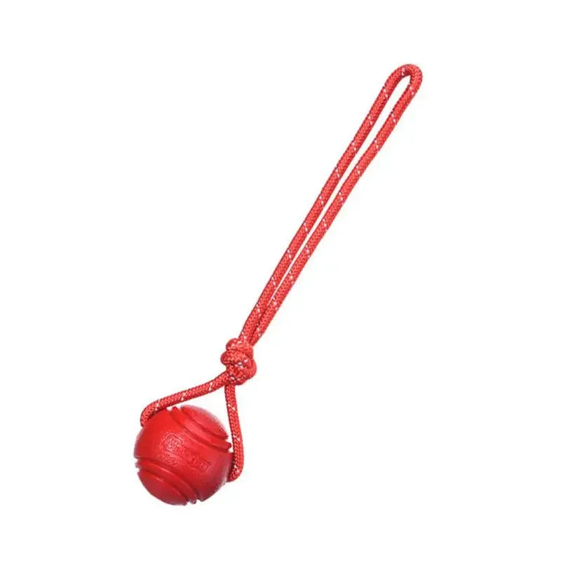Balle d'Entraînement pour Chien en Coton, Jouet Interactif, Non CU, pour Grands et Petits Chiens, Attrape et Lancer