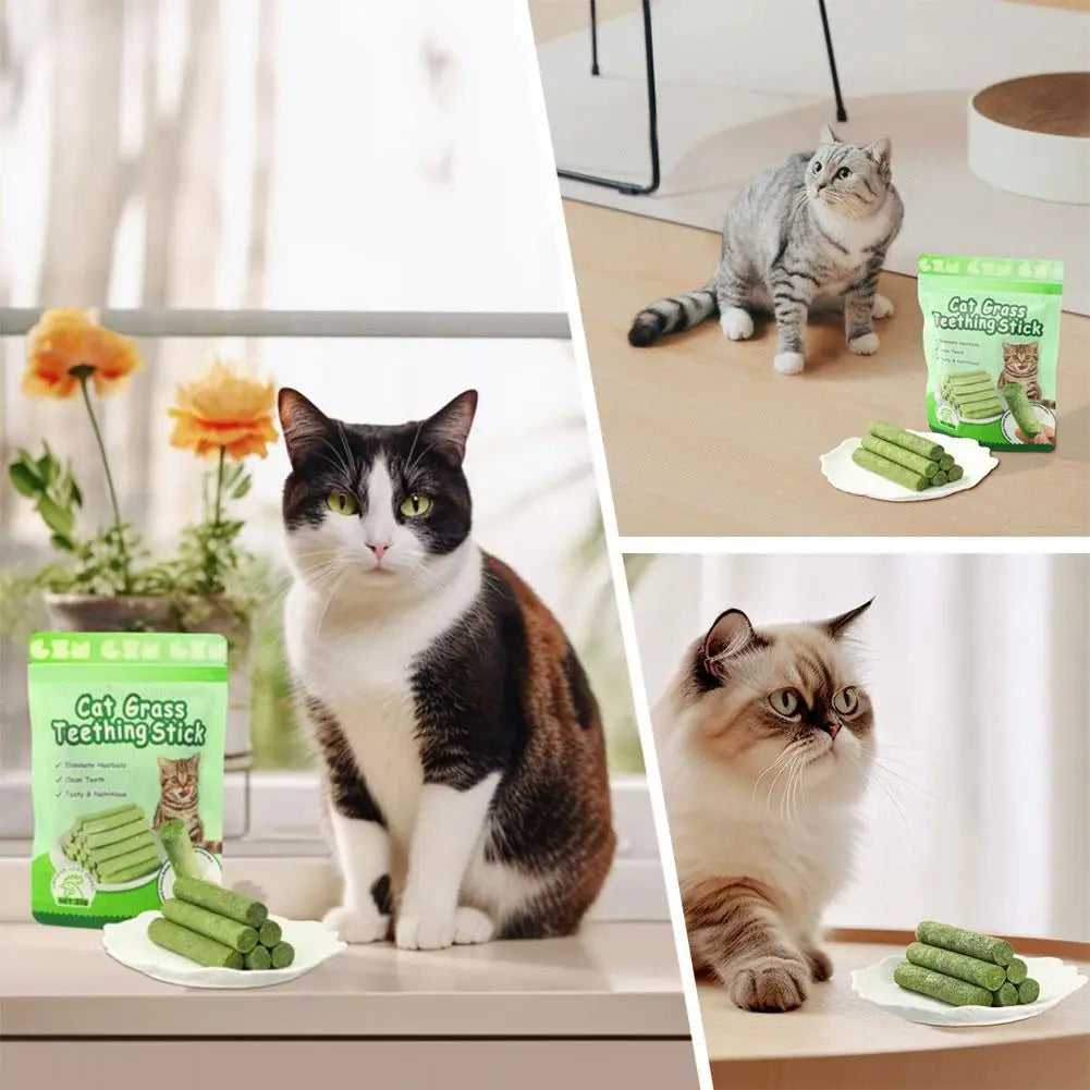 Bâton de meulage des dents pour chat, snacks pour animaux de compagnie, élimination des boules de poils, molaires, prêt à manger, bébé, livres, 6 pièces