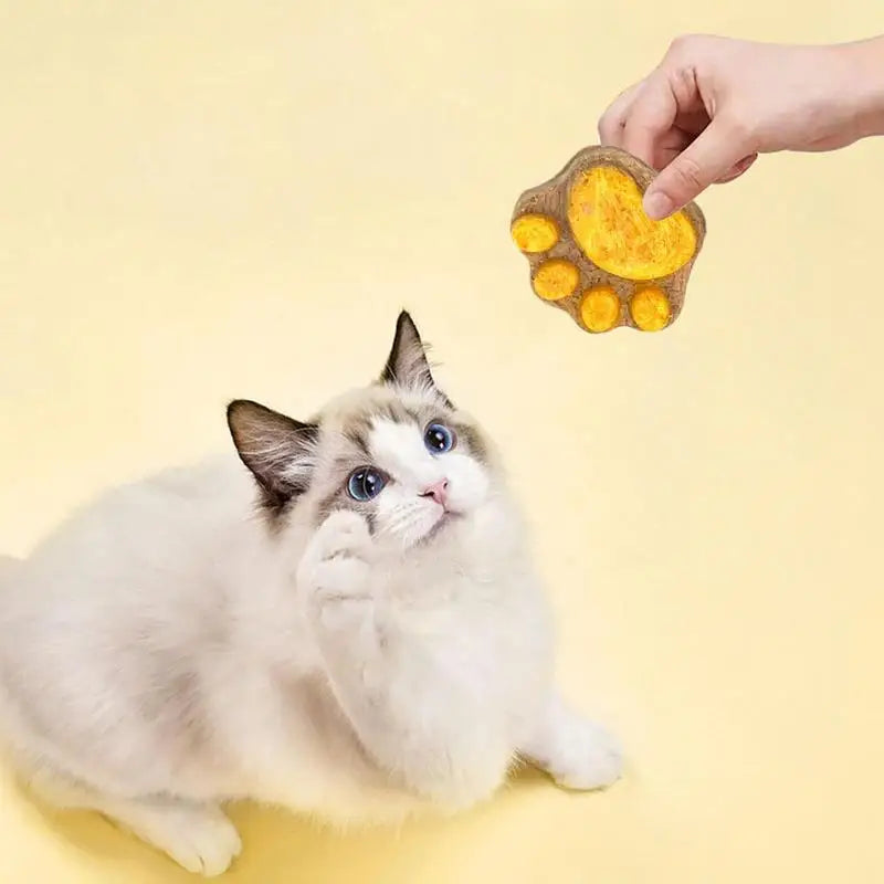 Collations à griffes de chat séchées à la gel pour animaux de compagnie, collation universelle pour chien, entraînement pour être récompensé, friandises pour animaux de compagnie, nourriture pour chaton