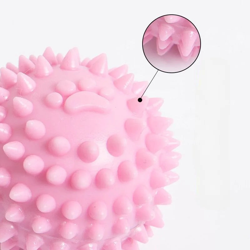Jouets à mâcher en caoutchouc pour animaux de compagnie, jouet Sophia, mastication agressive, brosse à dents pour chien, soins dentaires pour chiot, accessoires pour animaux de compagnie