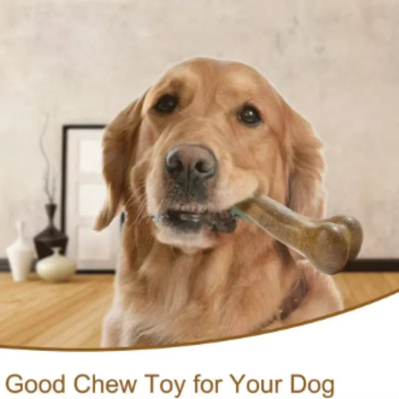 Jouet à mâcher pour chien naturel non toxique, presque indestructible, anti-morsure, pour chiots et chiens de petite, moyenne et grande taille, jouet à mâcher pour animaux de compagnie