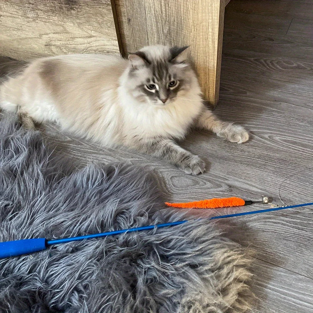 Ensemble de jouets pour chat, baguette rétractable, jouets en plumes et recharges de remplacement avec cloches, jouets interactifs pour chaton, 11 paquets