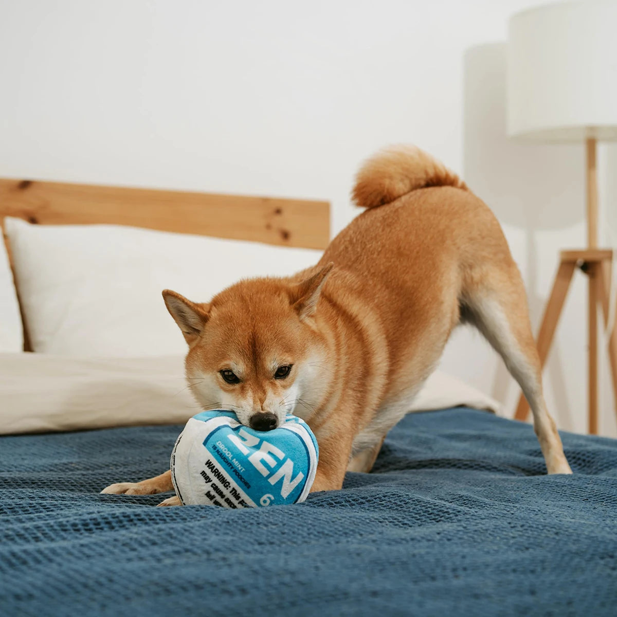 Jouet parodie pour chien Zen Pupper Deckies - Jouet drôle en peluche grinçant et froissé pour chien - Drool Mint