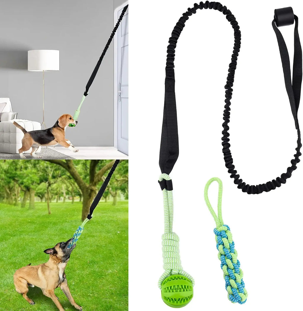 Jouets de corde de chien de poteau de ressort, jouet interactif de remorqueur de corde de chien, jouet de chiens suspendus d'elas d'intérieur/extérieur