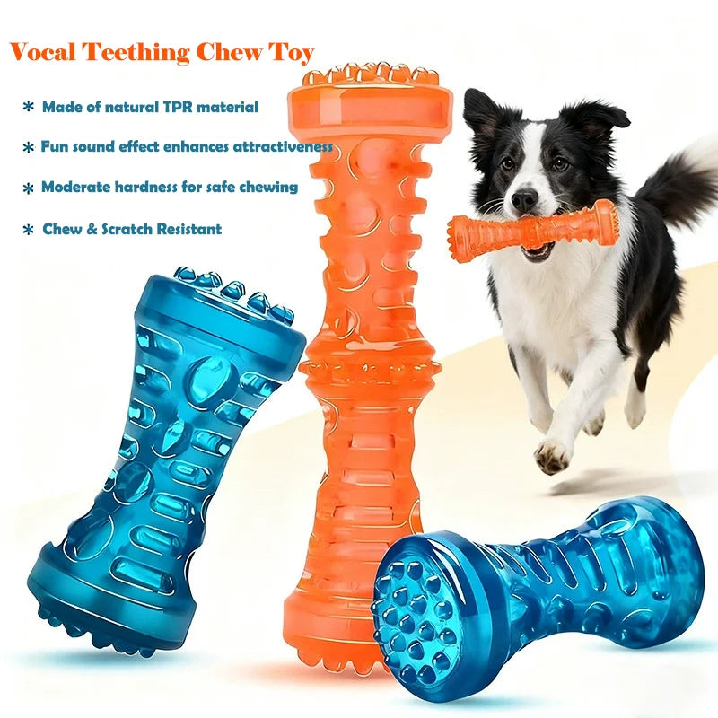 Jouet à mâcher en plastique en forme d'os pour chien, TPR grinçant, avec son, nettoyage des dents, bâton molaire Anti-morsure, fournitures pour animaux de compagnie