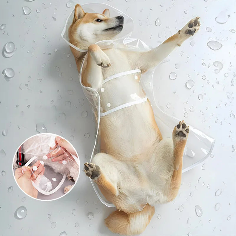 Imperméable transparent chien XS à 8XL