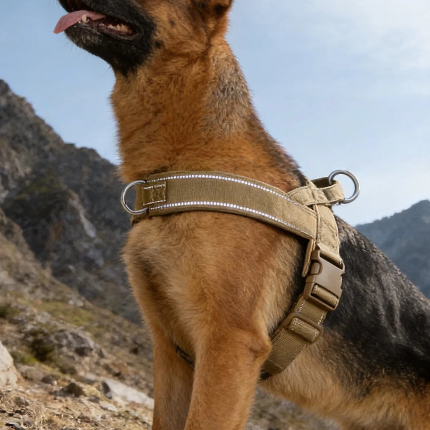 Harnais tactique gilet grand chien robuste