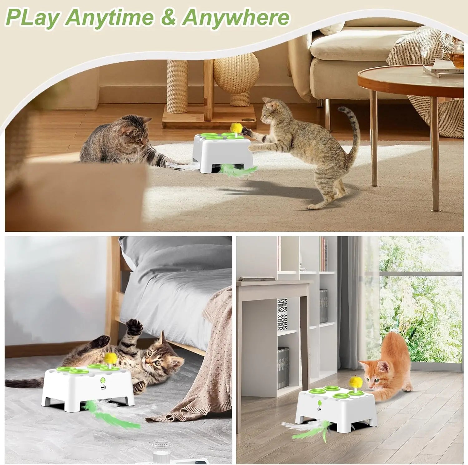 Jouet pop-up automatique à plumes pour chat