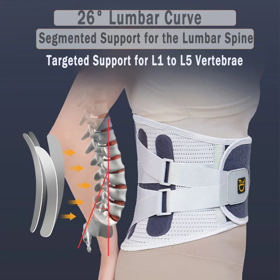Waist Brace/Back Brace Support Belt for Lower Back Pain Relief Adjustable Waist Lumbar Support Sciatica Scoliosis Herniated Disc