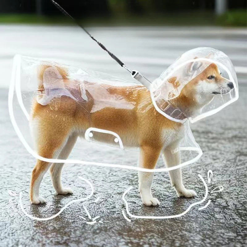Imperméable transparent chien XS à 8XL